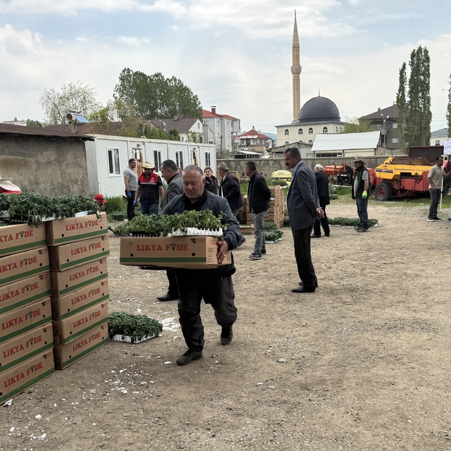 Yüksekova'da üreticilere sebze fidesi dağıtıldı