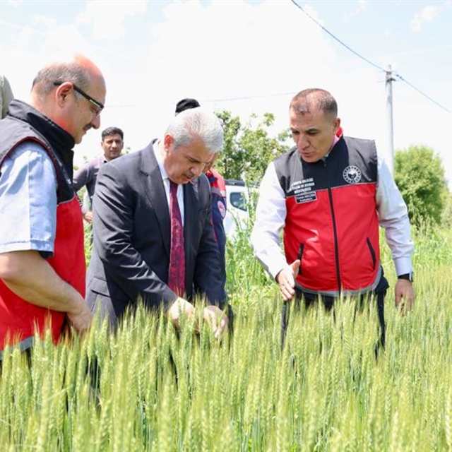 Konya Valisi Akın, Akşehir'de selden etkilenen bölgelerde incelemelerde bul...