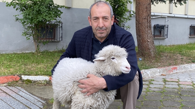 Kavak Adliyesi'nin sevimli maskotu: Kuzu Tertip