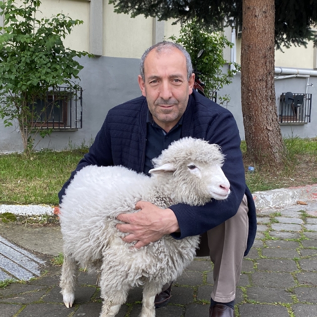 Kavak Adliyesi'nin sevimli maskotu: Kuzu Tertip