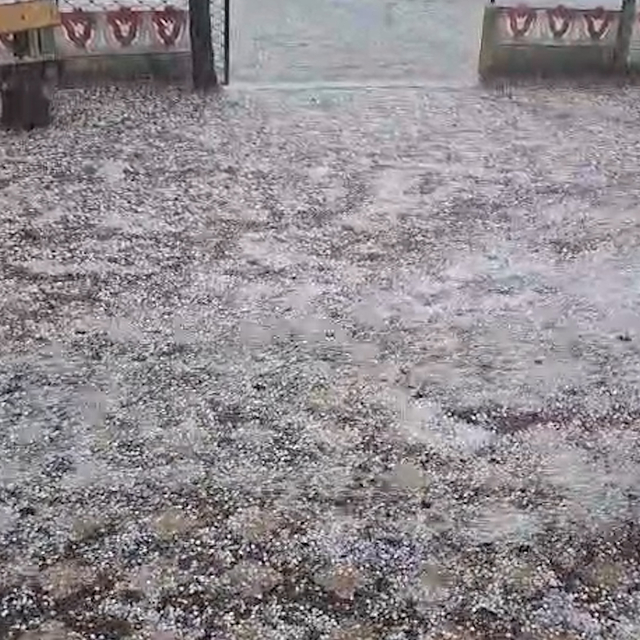 Ordu'da dolu yağışı etkili oldu