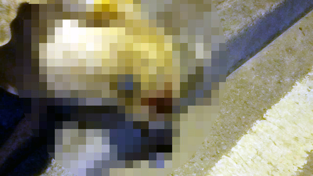 Galeri