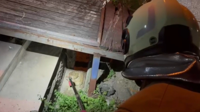 Hatay'da evin bahçesine giren yılan, doğaya salındı