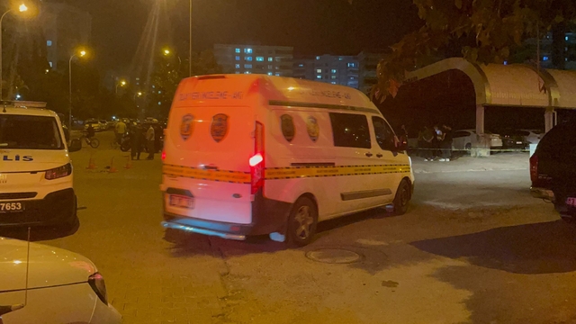 Şanlıurfa'da silahlı kavga: Anne öldü, oğlu yaralandı