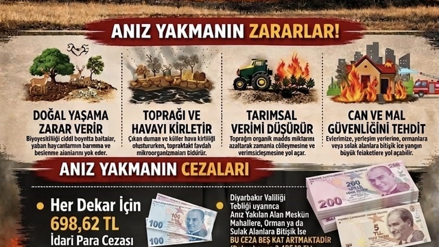 Diyarbakır'da anız yakanlara dekar başı 698 lira para cezası uygulanacak