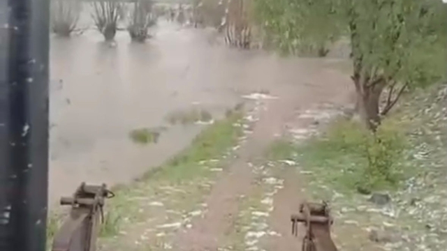 Bolu'da sağanak yağış dereleri taşırdı: Bahçe ve ahırlar sular altında kaldı