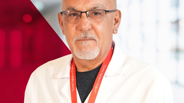 Sivrisinek kaynaklı chikungunya virüsüne karşı uyarı
