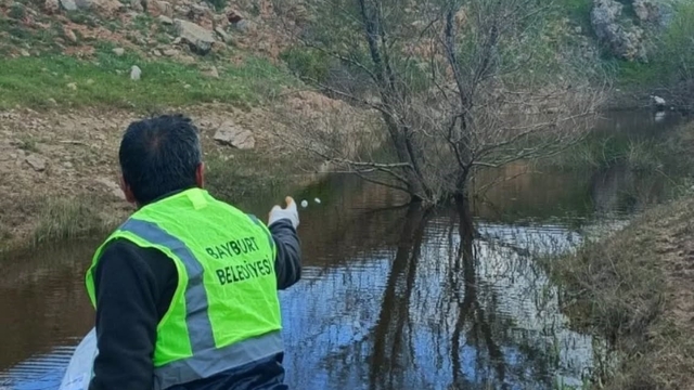 Bayburt'ta larva ilaçlaması ve temizlik çalışmaları sürüyor