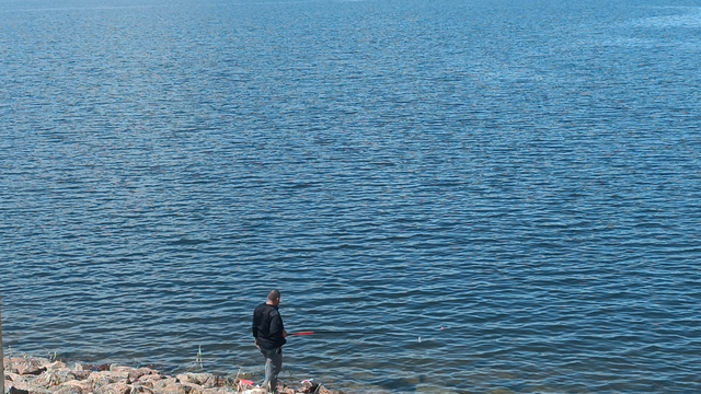Galeri
