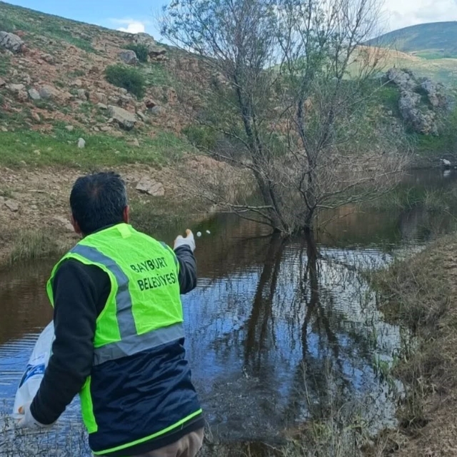 Bayburt'ta larva ilaçlaması ve temizlik çalışmaları sürüyor