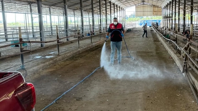 Havran'da kurban bayramı sonrası biyogüvenlik önlemi
Canlı hayvan pazarları dezenfekte edildi