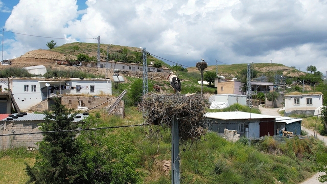 Galeri
