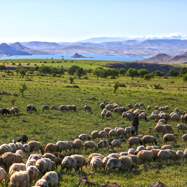 Elazığ'da rekor yağış, etkisini doğada da gösterdi