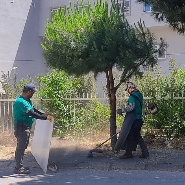 Efeler'in park ve yeşil alanlarında düzenleme çalışmaları sürüyor