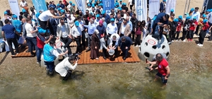 İzmit Körfezi'ne 6 bin yeni misafir
İzmit Körfezi'ne 100 yapay resif ve 6 b...