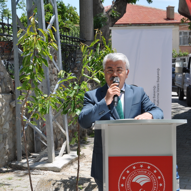 Akşehir'de kiraz fidanı dağıtıldı