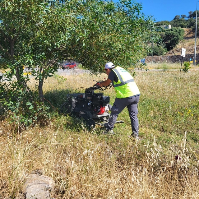 Bodrum'da ot temizliği çalışmaları tüm hızıyla devam ediyor