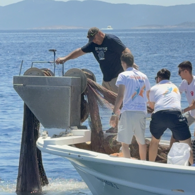Bodrum'da 2 bin metrekare hayalet ağ temizlendi, binlerce yavru balık doğay...