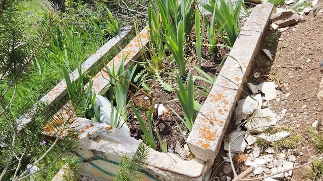 Bolu'da iki mezarın taşları kırılıp, zarar verildi