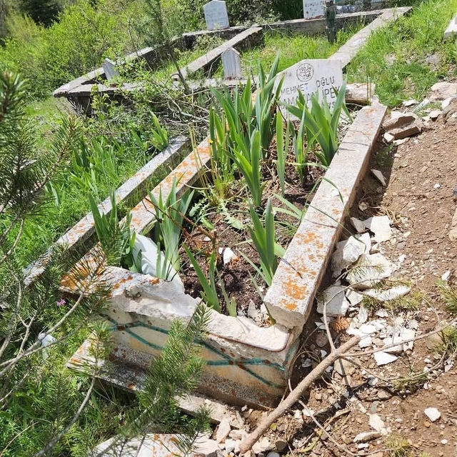 Bolu'da iki mezarın taşları kırılıp, zarar verildi