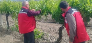 Manisa'da tarım denetimleri hız kesmiyor