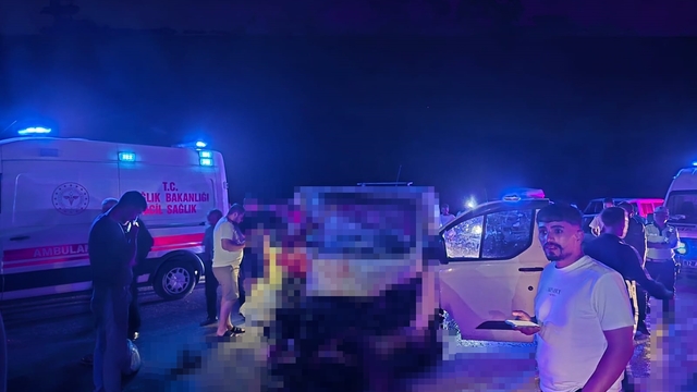 Minibüs, yola çıkan ata çarptı; 1 ölü, 2 yaralı