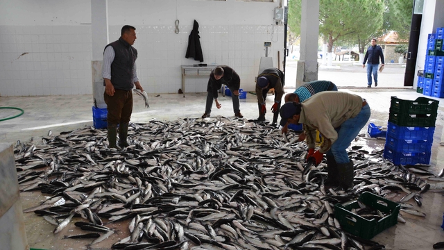 Muğla'nın Mayıs ayı ihracatı 107 milyon dolar
