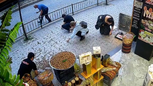 'Sakar' kedinin devirdiği cevizleri hep birlikte topladılar