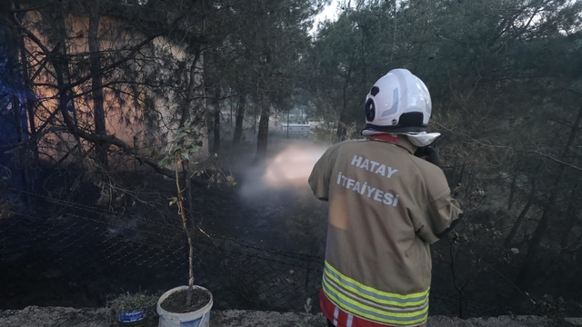 Hassa'da çamlık alan yangını