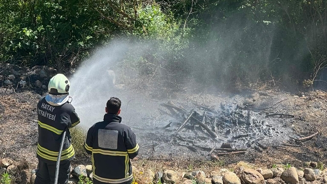 Antakya'da zeytinlik alan yangını