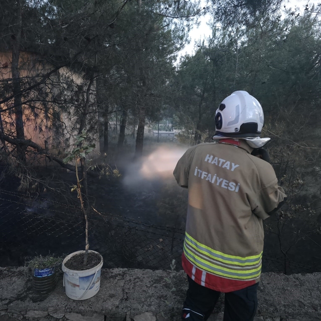 Hassa'da çamlık alan yangını