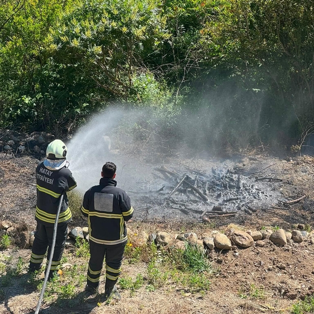 Antakya'da zeytinlik alan yangını