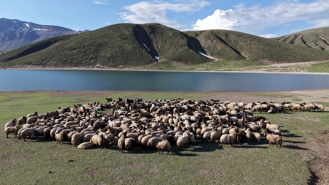 Göçerler 5 aylık yayla sezonunu Bitlis'te açtı