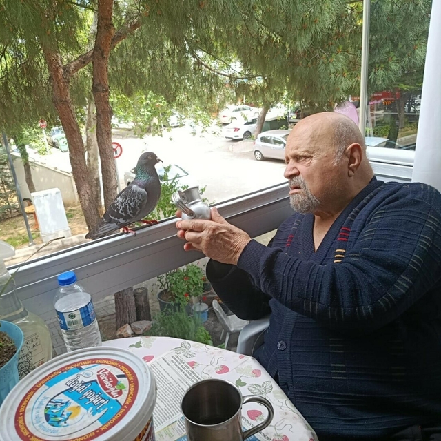 90 yaşında 2 bacağı protez ama beslediği güvercin 'Sakat' için oğlunun yanı...