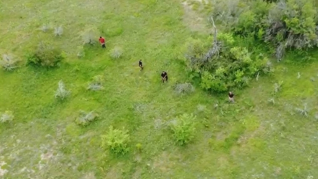 Muhtar, kaçak kazı şüphelilerini dronla görüntüledi
Muhtarın uyarılarını dikkate almadılar, dron ile görüntülenince böyle kaçtılar