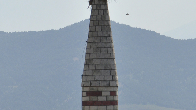 Galeri