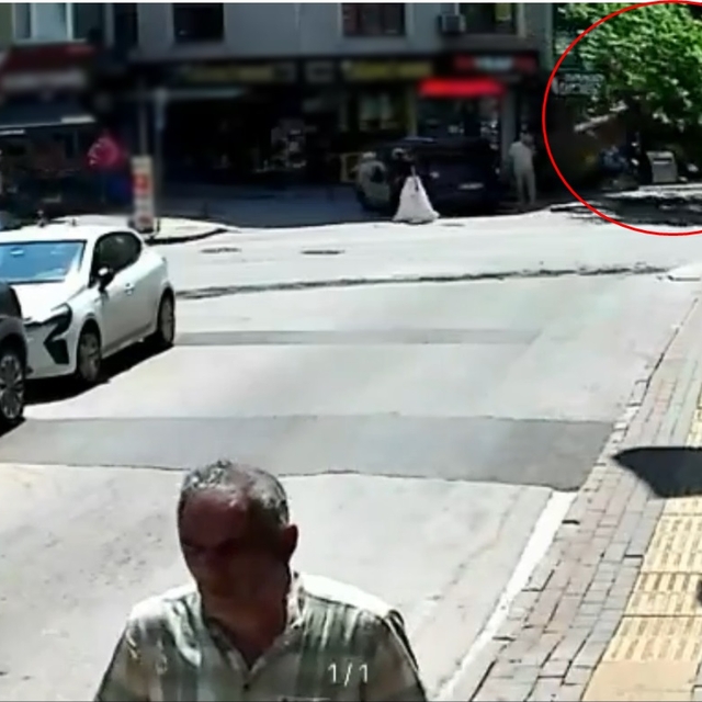 Devrilen tarihi çınar araca zarar verdi; yol trafiğe kapandı (2)