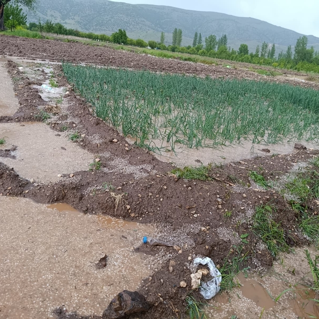 Malatya'da dolu yağışı tarım arazilerini sular altında bıraktı