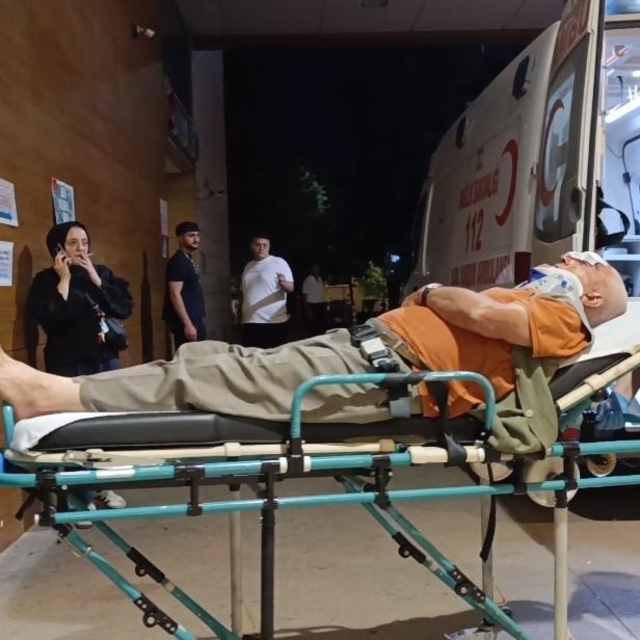 Erik toplamak için çıktığı ağaçtan düşerek yaralandı