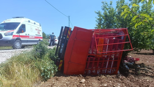 Malatya'da tavuk yüklü kamyon devrildi