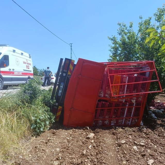 Malatya'da tavuk yüklü kamyon devrildi
