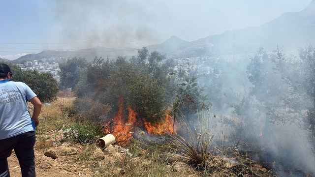 Bodrum'da maki yangınında 1 dekar alan zarar gördü
