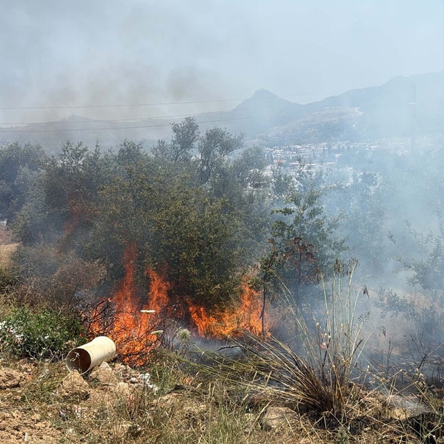 Bodrum'da maki yangınında 1 dekar alan zarar gördü