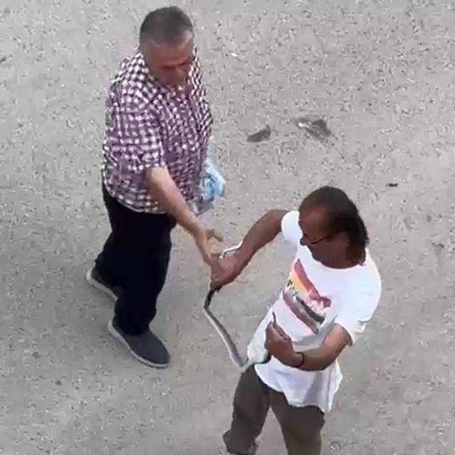 Paniğe sebep olan yılanı eliyle yakaladı