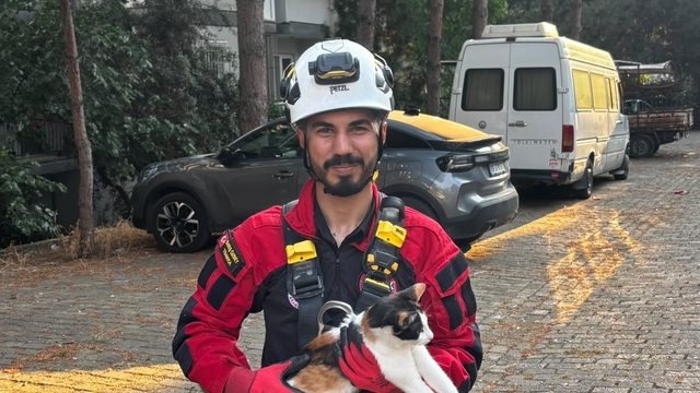 Üç gündür ağaçta mahsur kalan kedi kurtarıldı
