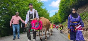 Trabzon'un Şalpazarı ilçesinde geleneksel yayla göçü başladı
İneklerini gel...