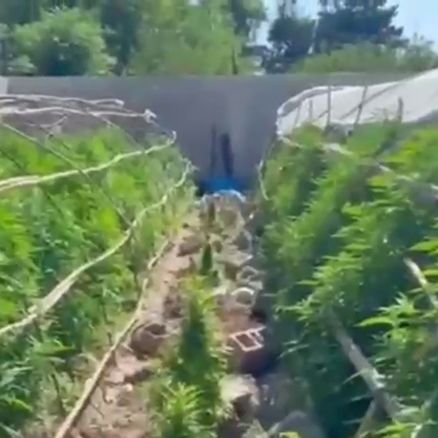 Seraları uyuşturucu üretim tesisine çeviren şahıslara operasyon