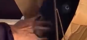 Keçisiyle dolmuşa bindi, yol boyunca başını okşadı