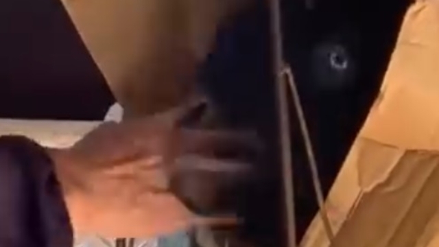 Keçisiyle dolmuşa bindi, yol boyunca başını okşadı