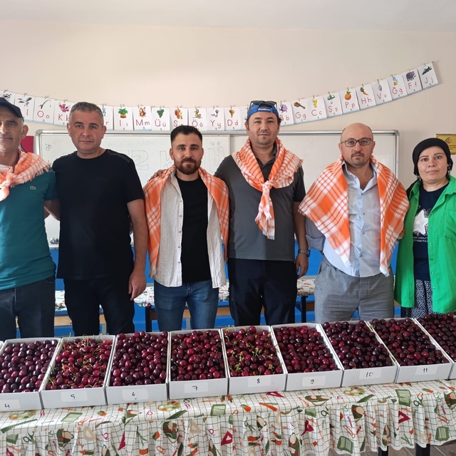 Binlerce insan Kiraz Festivali için Börez'e akın etti
